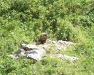 estete 2008 124